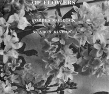Freud and the Gift of Flowers
